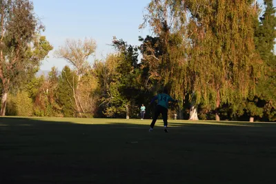 DSC_2375 (Large).JPG